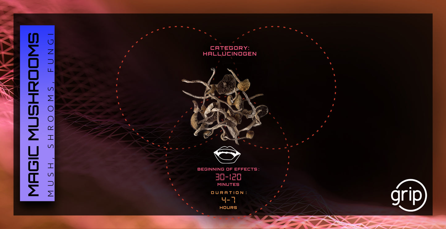 Carte Champignon Magique